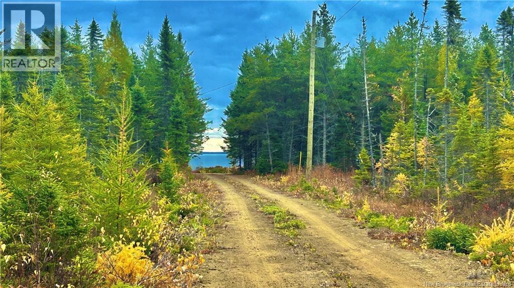 140 Grand Dune Road, Barryville, New Brunswick  E9G 4H6 - Photo 25 - NB128326