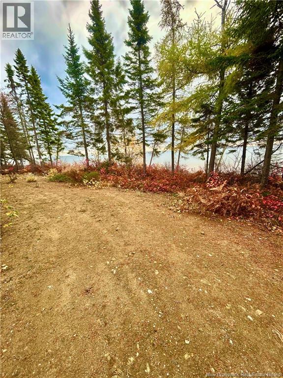 140 Grand Dune Road, Barryville, New Brunswick  E9G 4H6 - Photo 28 - NB128326