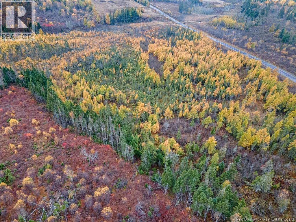 Lot Poodiac, Poodiac, New Brunswick  E4E 4H5 - Photo 3 - NB128979