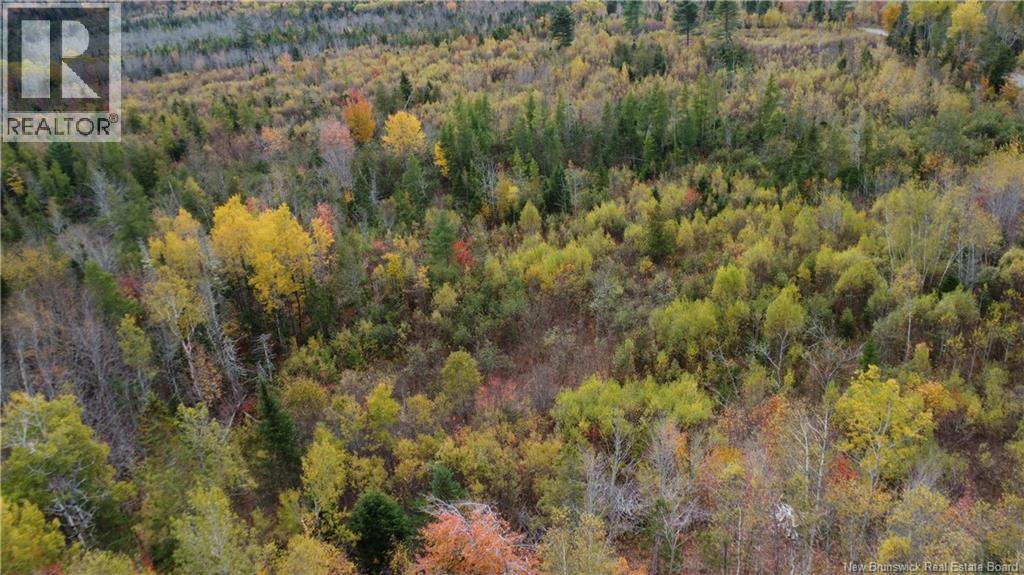 339 Mcminn Road, Rollingdam, New Brunswick  E5A 1B2 - Photo 7 - NB128696