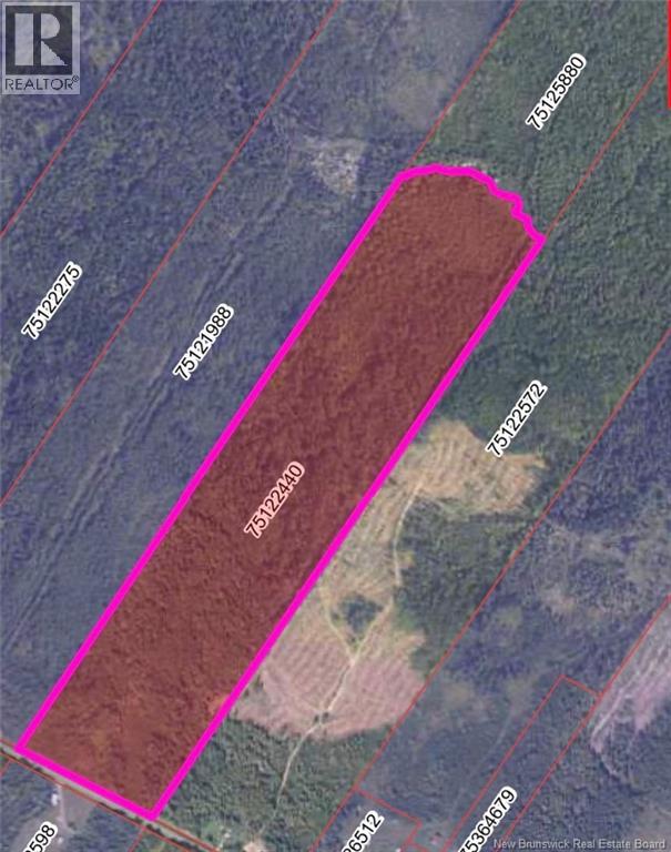 N/a Williamsburg Road, Williamsburg, New Brunswick  E6B 1W2 - Photo 2 - NB128987