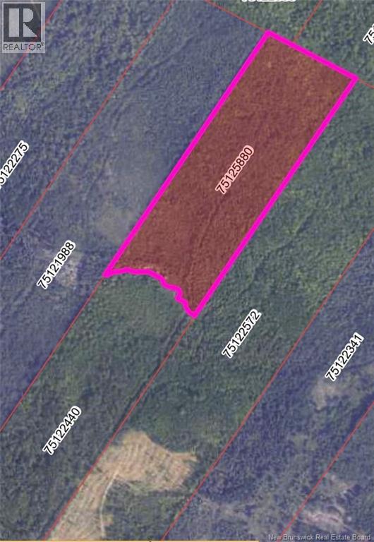 N/a Williamsburg Road, Williamsburg, New Brunswick  E6B 1W2 - Photo 3 - NB128987