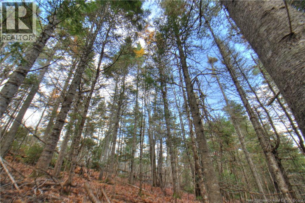 Lot 25-9 Creekview Lane, Galloway, New Brunswick  E4W 2G6 - Photo 8 - NB129014