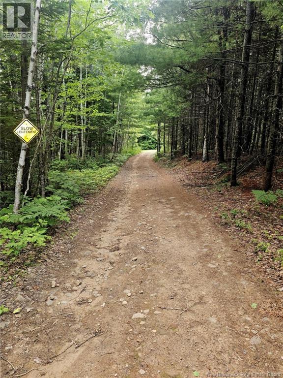 Lot 33, Lot 34 And Camp Off The Green Road, Elgin, New Brunswick  E4Z 6L4 - Photo 3 - NB129065