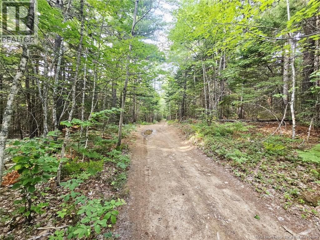 Lot 33, Lot 34 And Camp Off The Green Road, Elgin, New Brunswick  E4Z 6L4 - Photo 5 - NB129065