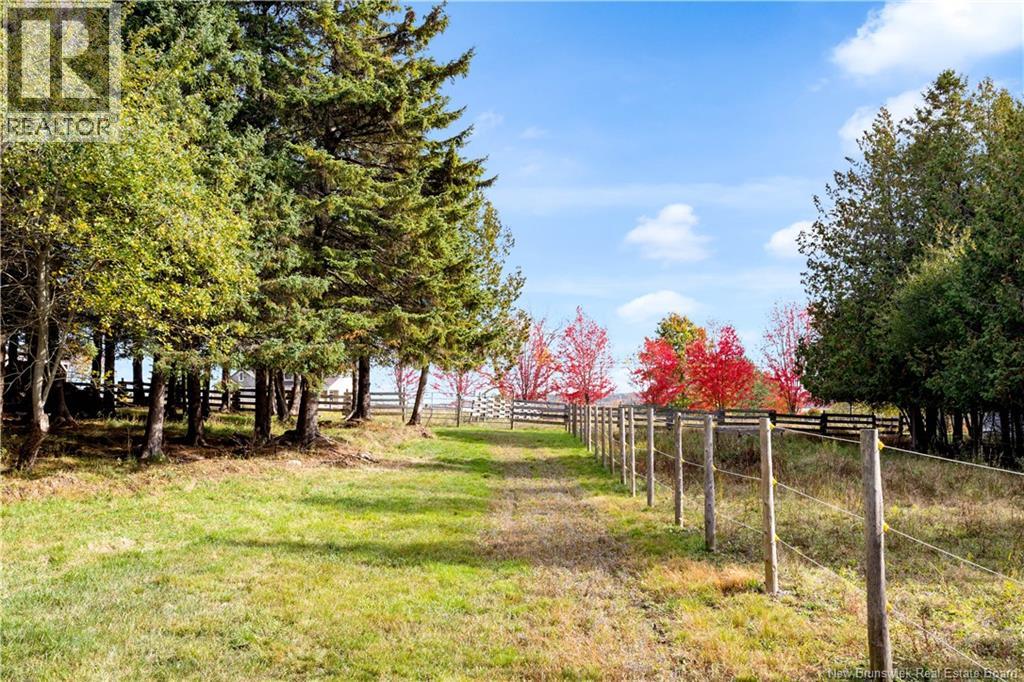 301 Darlings Island Road, Darlings Island, New Brunswick E5N 6S4 - Photo 2 - NB128990