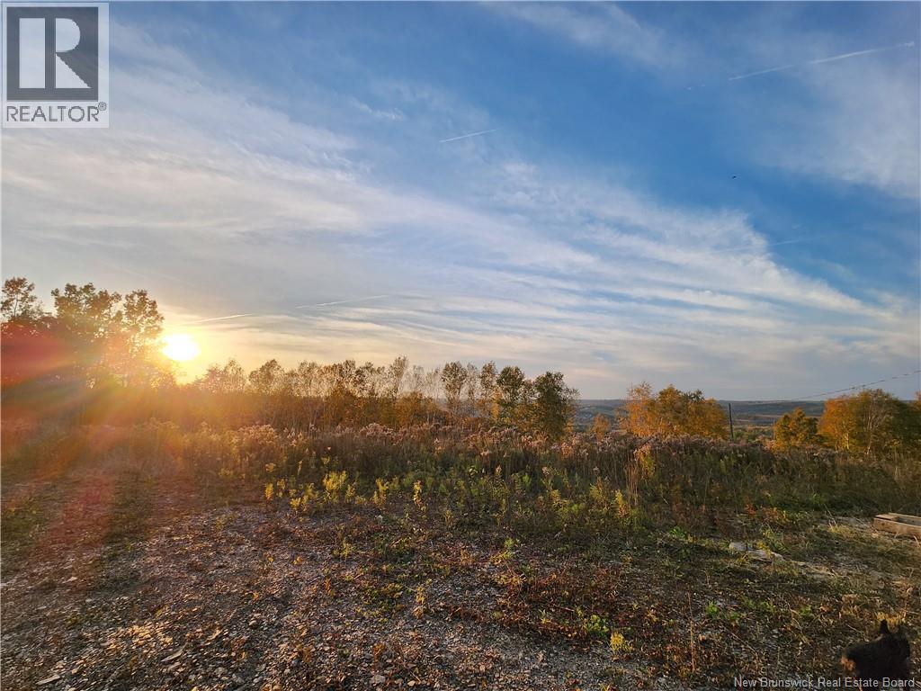 304 Foley Brook, New Denmark, New Brunswick E7G 1P5 - Photo 5 - NB129119