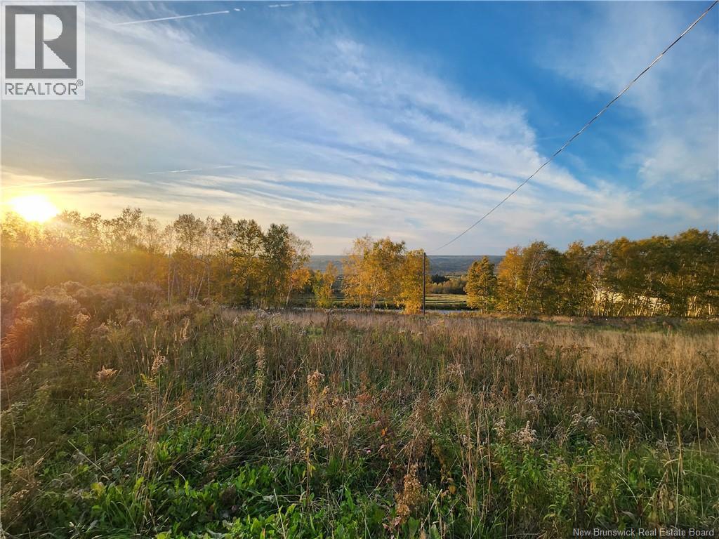 304 Foley Brook, New Denmark, New Brunswick E7G 1P5 - Photo 7 - NB129119