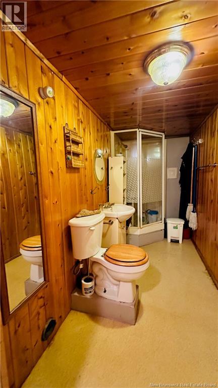 383 Lumber Road, Peel, New Brunswick  E7L 4E1 - Photo 39 - NB129169