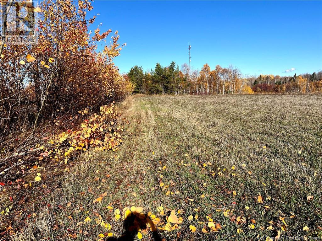 3 acres ch Eustache Hache, Saint-Isidore, New Brunswick