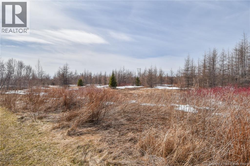 1207 Route 113, Inkerman Ferry, New Brunswick  E8P 1W9 - Photo 7 - NB129226