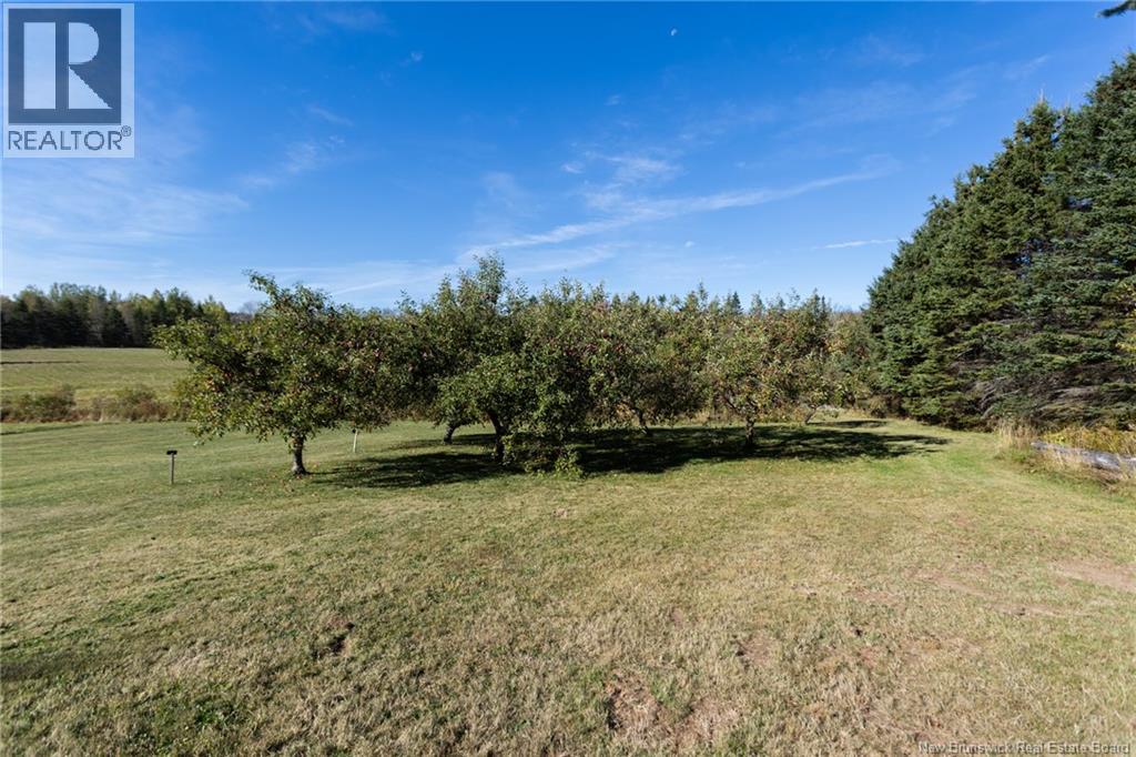 2118 Route 3 Harvey, Harvey, New Brunswick  E6K 3W9 - Photo 47 - NB129213