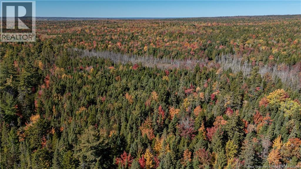 3506 Lower Cambridge Road, Cambridge-Narrows, New Brunswick  E4C 1S6 - Photo 46 - NB129191