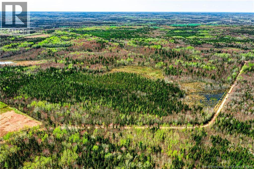 Lot Saint Damien, Saint-Damien, New Brunswick  E4V 3E6 - Photo 2 - NB129255