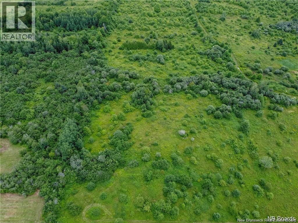 23-1 620 Route, Tay Creek, New Brunswick  E6B 1J8 - Photo 2 - NB129140