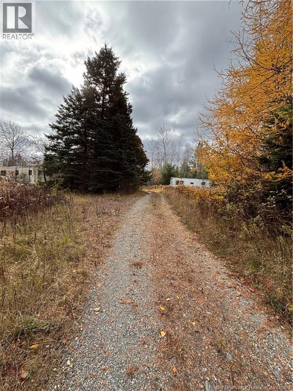 682 Boyd Road, Elmsville, New Brunswick  E5A 1M8 - Photo 3 - NB129238