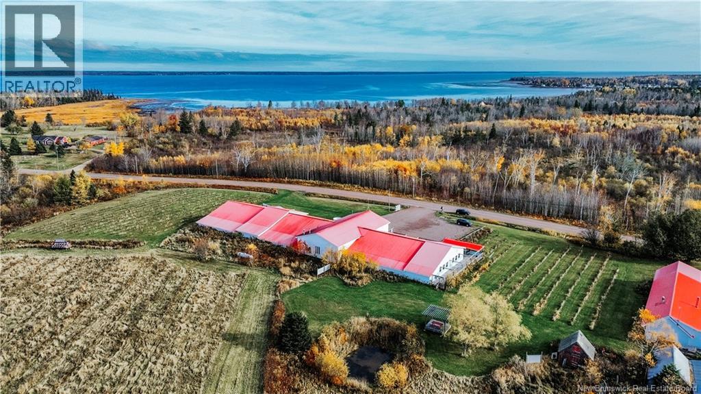 851 Route 970, Baie Verte, New Brunswick  E4M 1Y3 - Photo 45 - NB129268