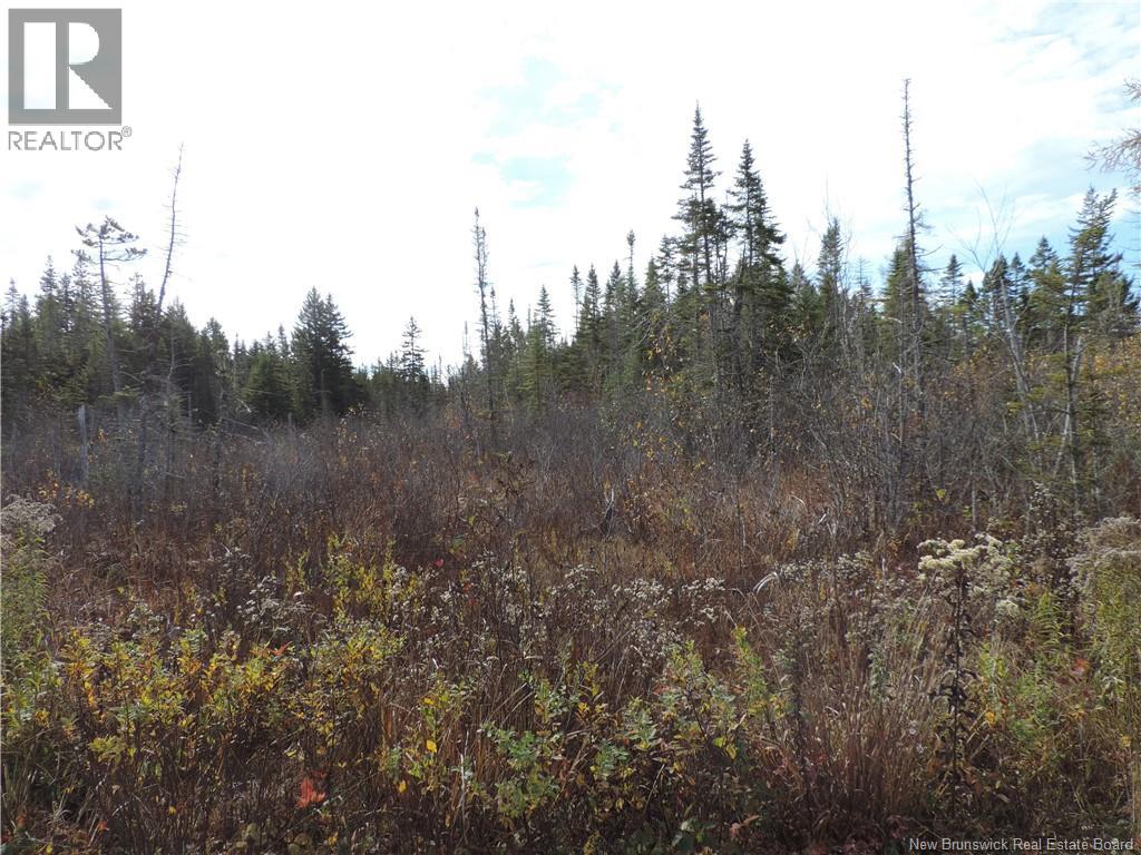 Old Gardner Creek Road, Rowley, New Brunswick