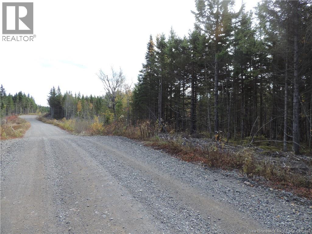 Old Gardner Creek Road, Rowley, New Brunswick  E5S 2C8 - Photo 2 - NB129248