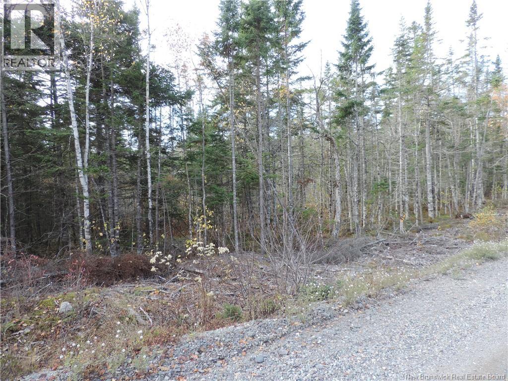Old Gardner Creek Road, Rowley, New Brunswick  E5S 2C8 - Photo 3 - NB129248