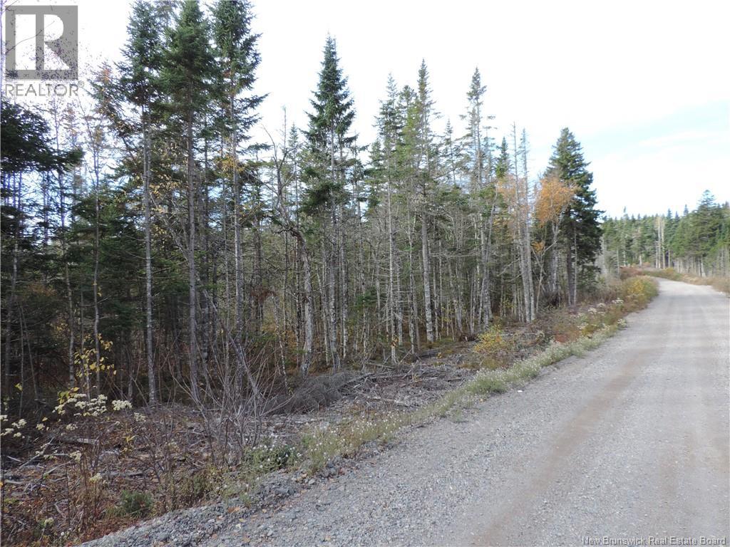 Old Gardner Creek Road, Rowley, New Brunswick  E5S 2C8 - Photo 4 - NB129248
