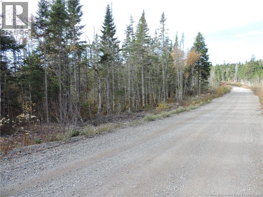Old Gardner Creek Road, Rowley, New Brunswick  E5S 2C8 - Photo 5 - NB129248