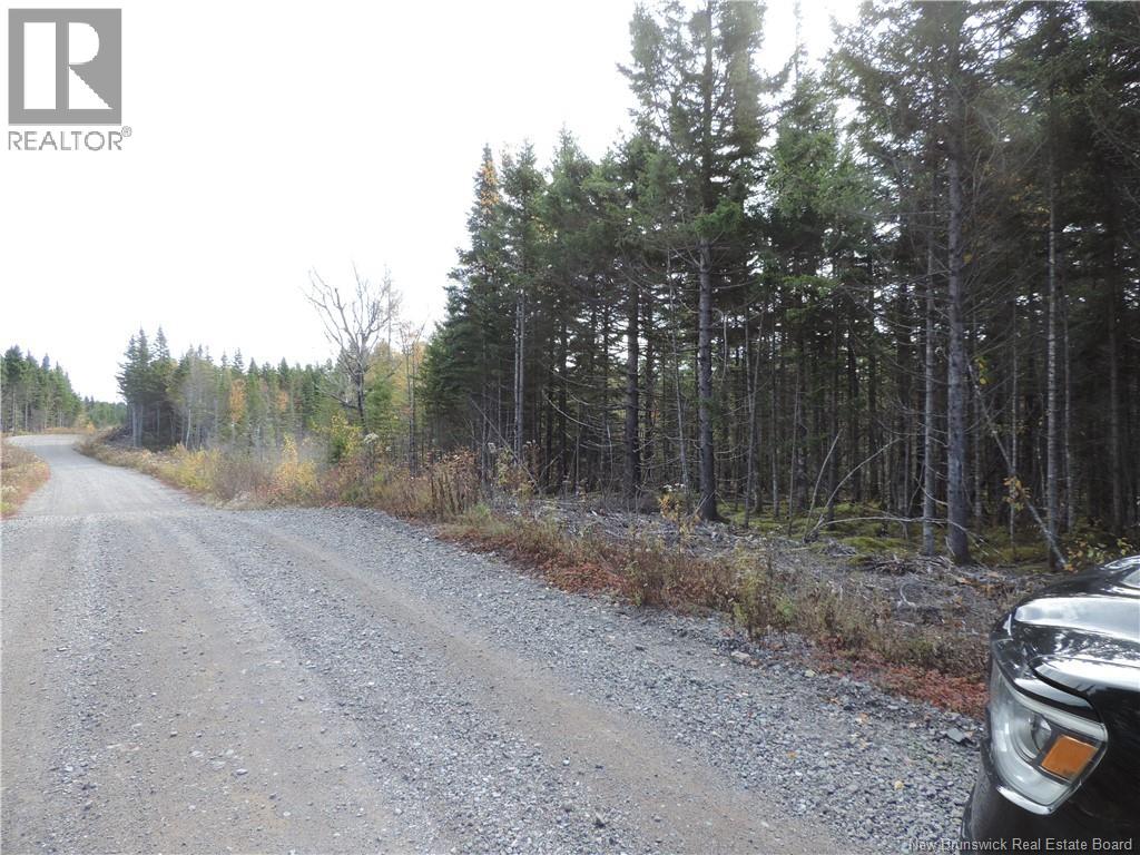 Old Gardner Creek Road, Rowley, New Brunswick  E5S 2C8 - Photo 6 - NB129248