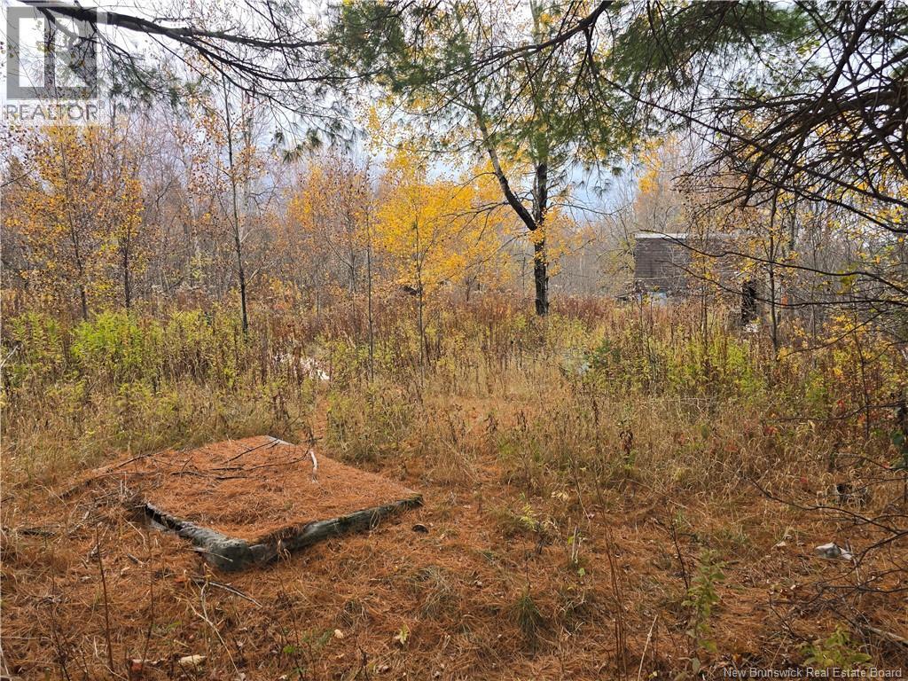 659 Route 945, Cormier Village, New Brunswick  E4P 5Y7 - Photo 7 - NB129247