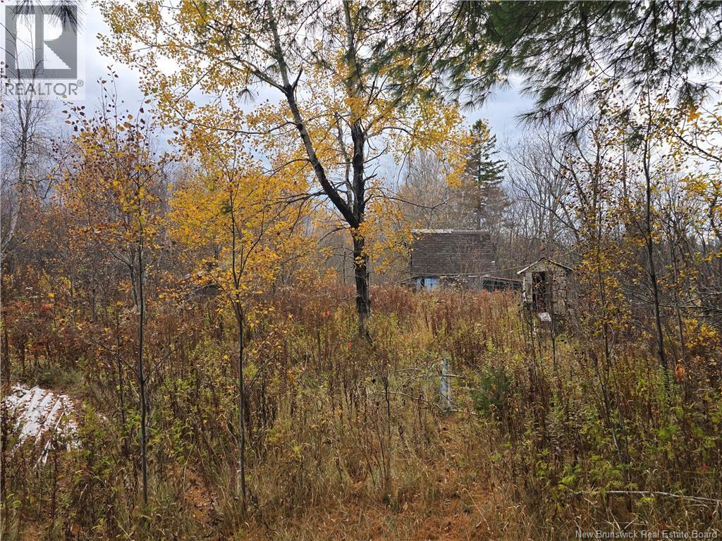 659 Route 945, Cormier Village, New Brunswick  E4P 5Y7 - Photo 8 - NB129247