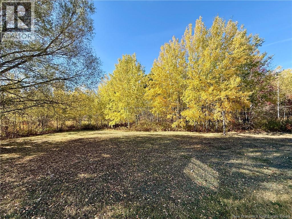 969 Rte 160, Allardville, New Brunswick  E8L 1L3 - Photo 25 - NB129220