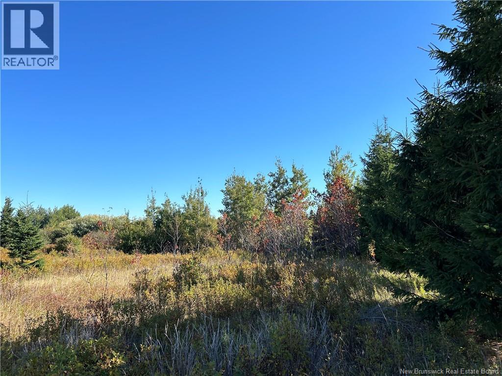 Lot Gabriel-Giraud Street, Caraquet, New Brunswick  E1W 1B4 - Photo 2 - NB129286