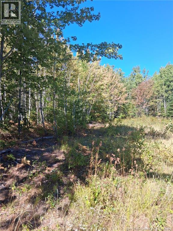 Lot 04-16 Sunset View Lane, Cumberland Bay, New Brunswick  E4A 0A2 - Photo 2 - NB129290