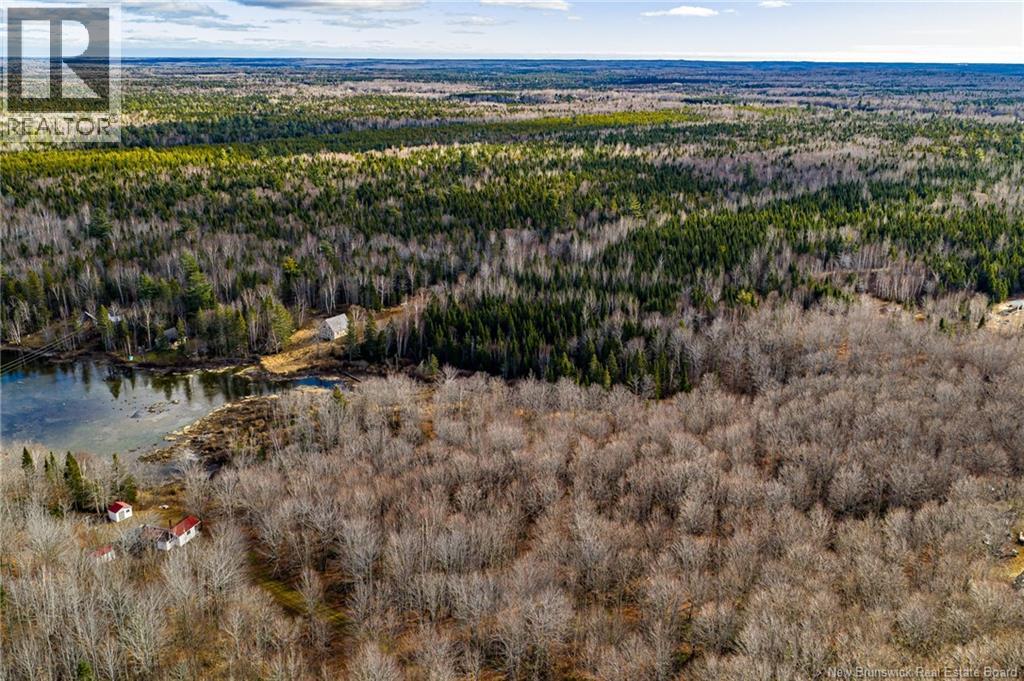 3 Acres Ch Doucet, Val-Doucet, New Brunswick  E8R 1X4 - Photo 6 - NB129269