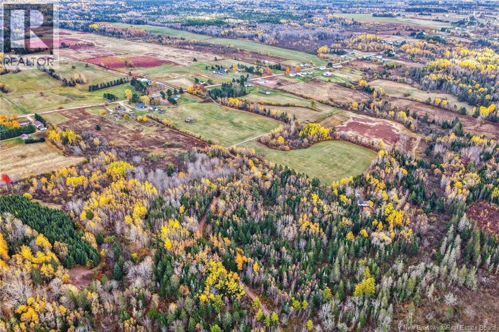 248 Memramcook Road, Memramcook, New Brunswick E4K 1N9 - Photo 13 - NB129309