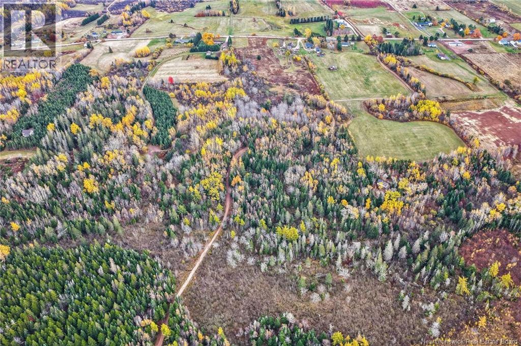 248 Memramcook Road, Memramcook, New Brunswick E4K 1N9 - Photo 14 - NB129309