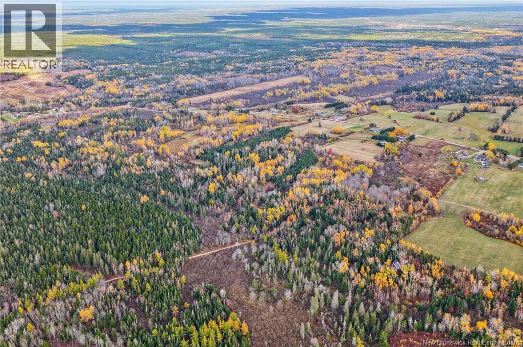 248 Memramcook Road, Memramcook, New Brunswick E4K 1N9 - Photo 15 - NB129309