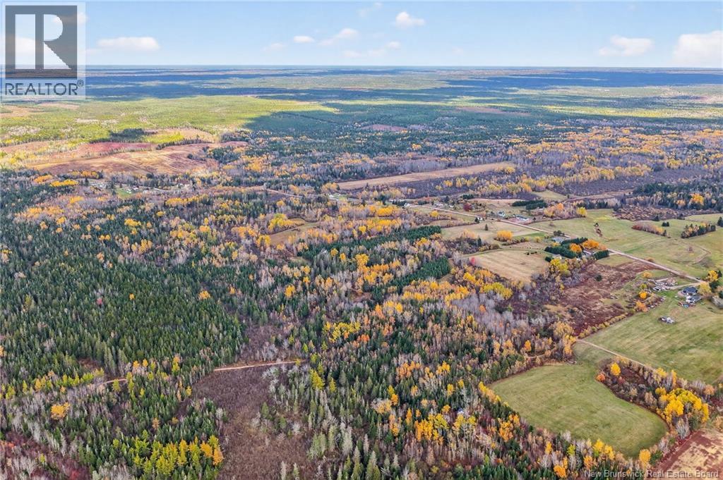 248 Memramcook Road, Memramcook, New Brunswick E4K 1N9 - Photo 16 - NB129309