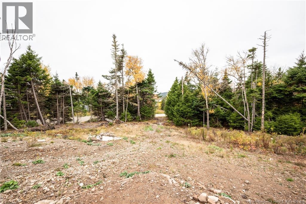 39 Chignecto Drive, Alma, New Brunswick E4H 1V9 - Photo 42 - NB128904