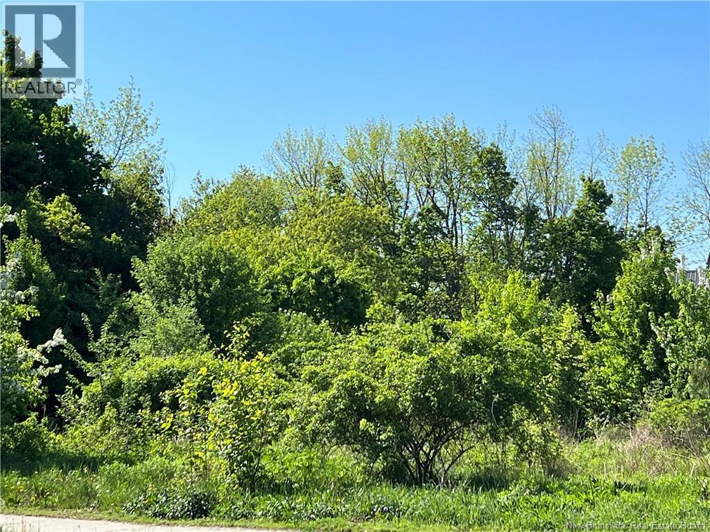 100 Union Street, St. Stephen, New Brunswick  E3L 1V5 - Photo 3 - NB129328