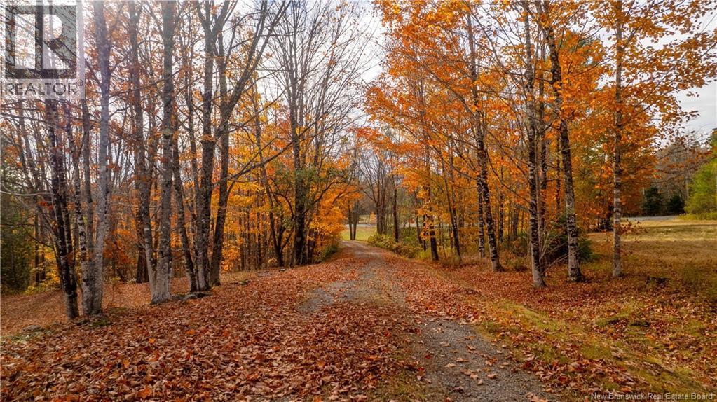 7777 Route 3, Dewolfe, New Brunswick  E5A 1K7 - Photo 6 - NB129252