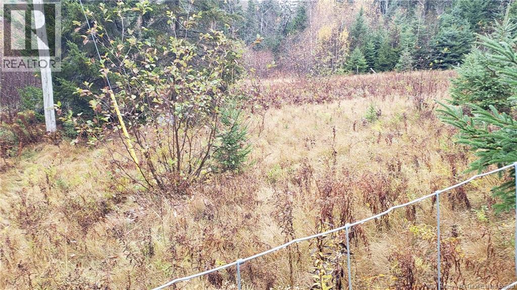 522 Bonney Road, Nauwigewauk, New Brunswick  E5N 7B2 - Photo 23 - NB129294
