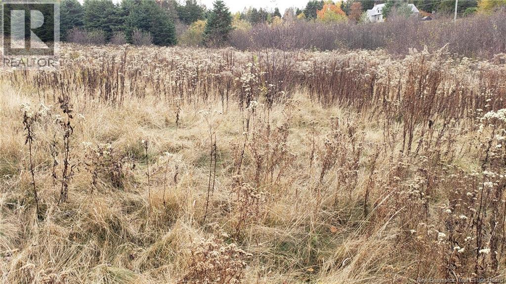 522 Bonney Road, Nauwigewauk, New Brunswick  E5N 7B2 - Photo 25 - NB129294