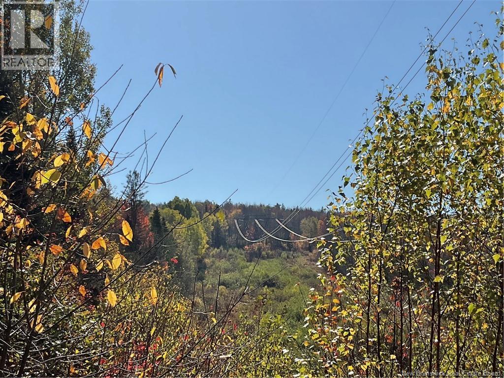 Lot 5-2025 Maclean Settlement Road, Burtts Corner, New Brunswick  E6L 2W4 - Photo 6 - NB129291