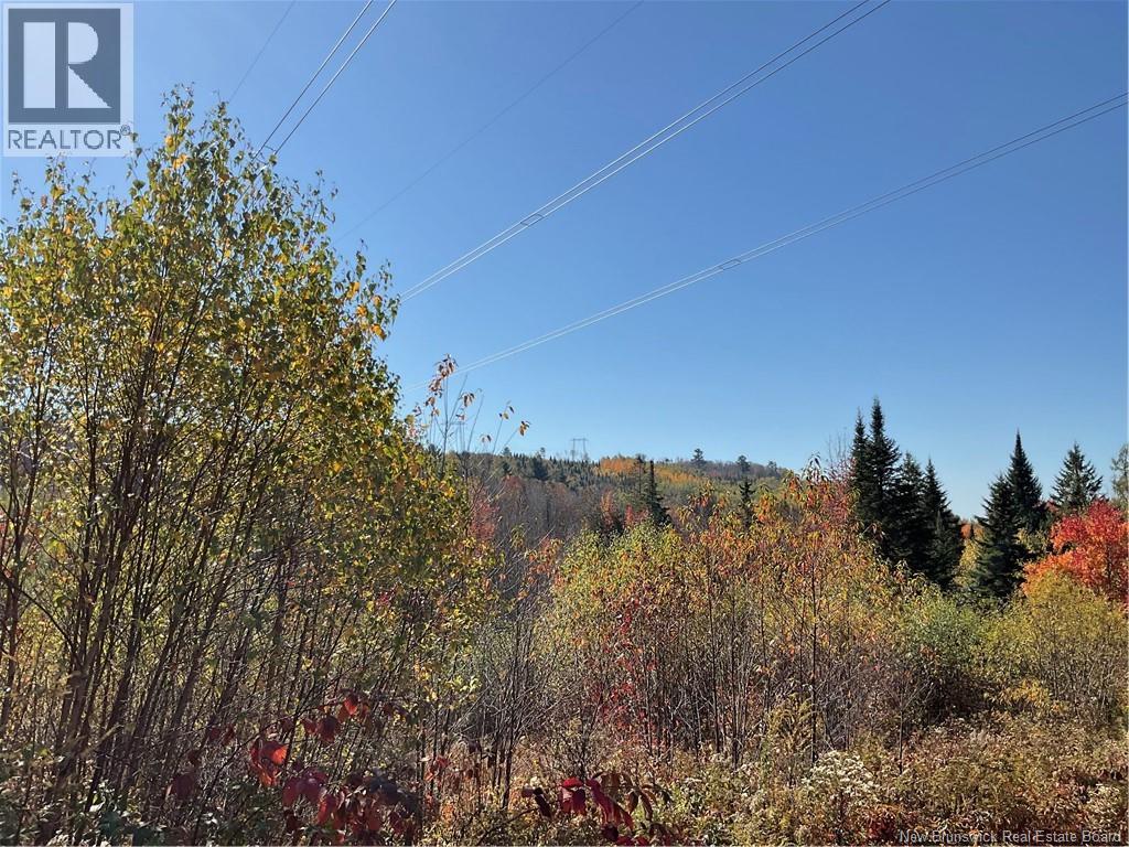 Lot 5-2025 Maclean Settlement Road, Burtts Corner, New Brunswick  E6L 2W4 - Photo 7 - NB129291