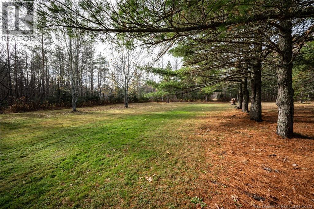 781 Route 905, Pollett River, New Brunswick  E4Z 3B4 - Photo 45 - NB129251