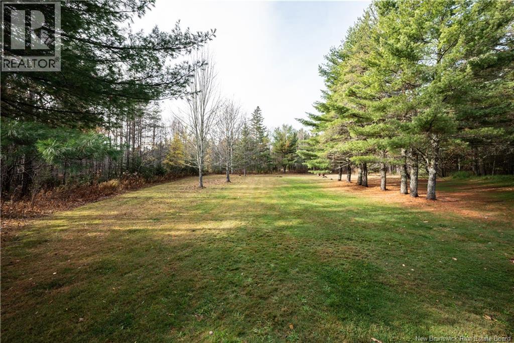 781 Route 905, Pollett River, New Brunswick  E4Z 3B4 - Photo 46 - NB129251