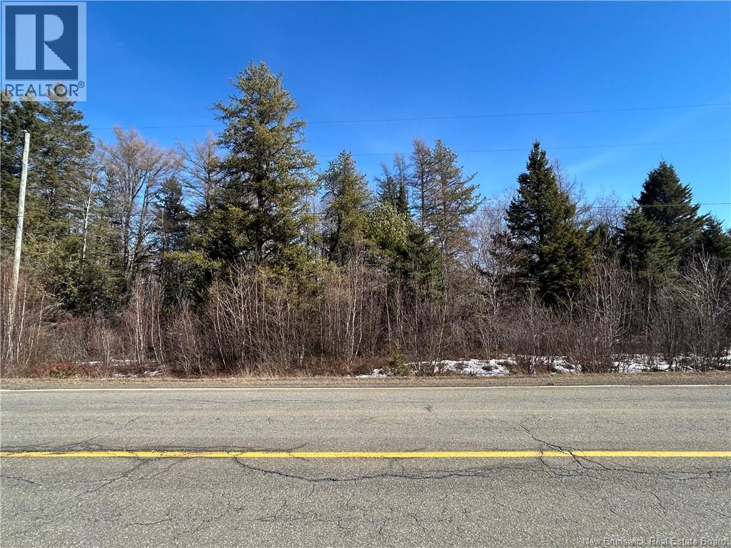 39.25 Hec Hwy 126, Kent Junction, New Brunswick  E1G 2Y9 - Photo 6 - NB129398