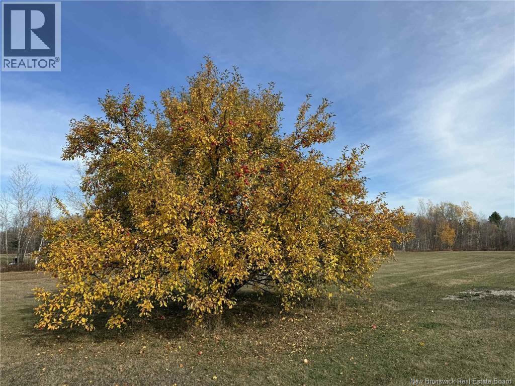 400 Bellefond Road, Bellefond, New Brunswick  E1V 4T6 - Photo 30 - NB129404