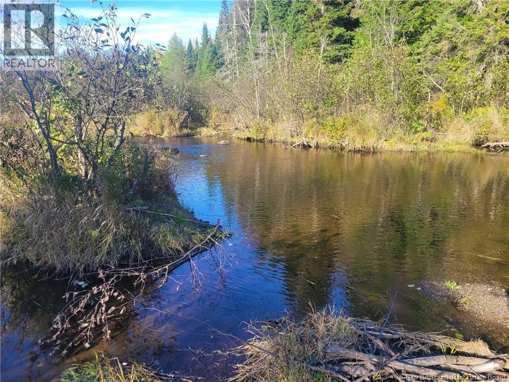 400 Bellefond Road, Bellefond, New Brunswick  E1V 4T6 - Photo 33 - NB129404