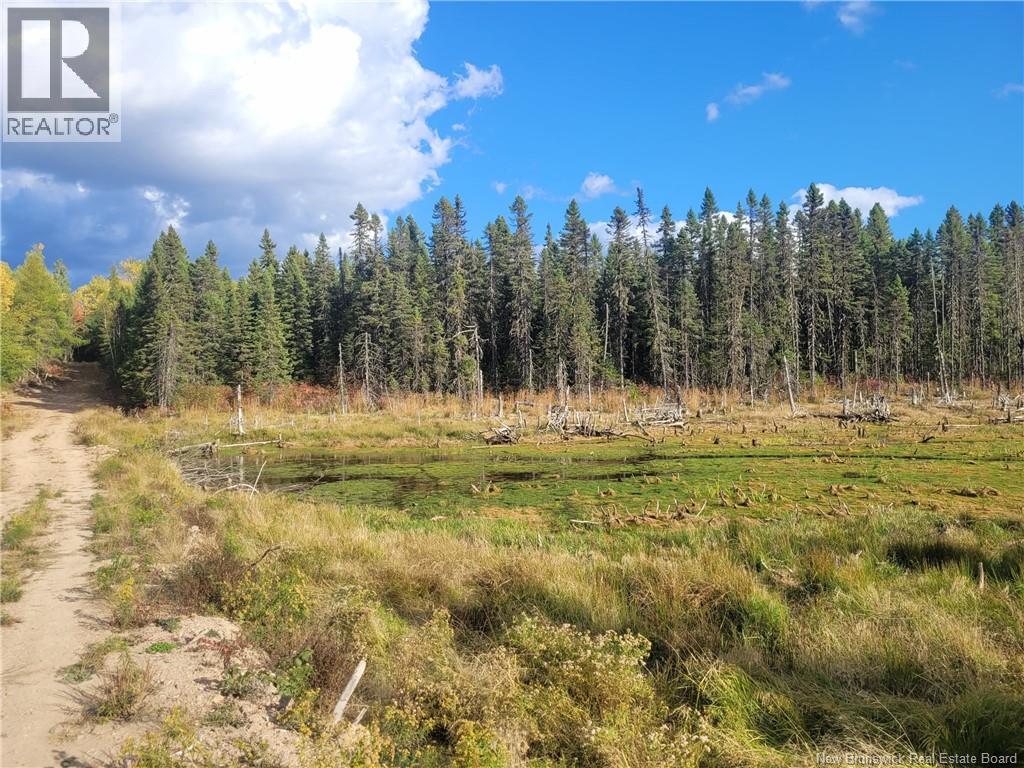 400 Bellefond Road, Bellefond, New Brunswick  E1V 4T6 - Photo 35 - NB129404